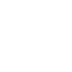 Fortus Shield
